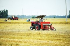 <b>三夏掠影：夏收夏种进行时</b>